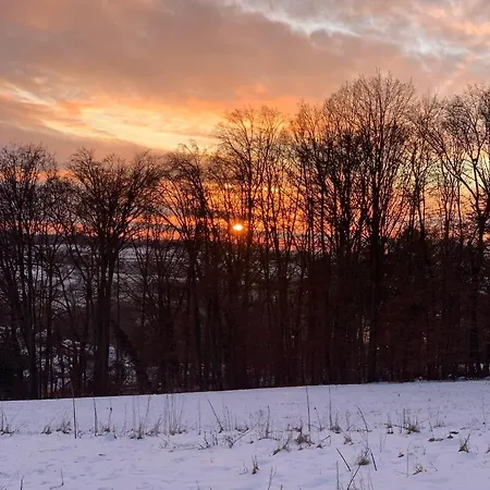 شقة Exclusive Ferienwohnung Mit Eigenem Garten Und Donaublick In Weltenburg,90Qm